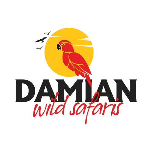 Damian Wild Safaris