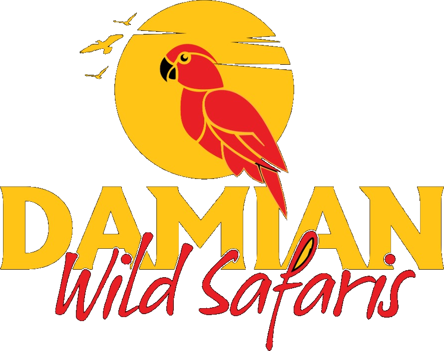 Damian Wild Safaris logo