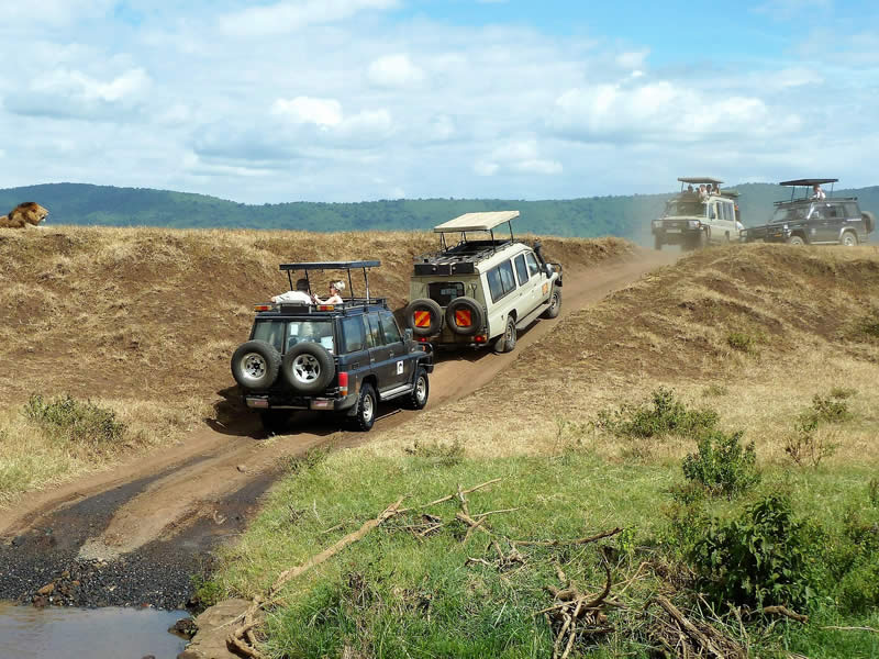 Safari Landcruiser