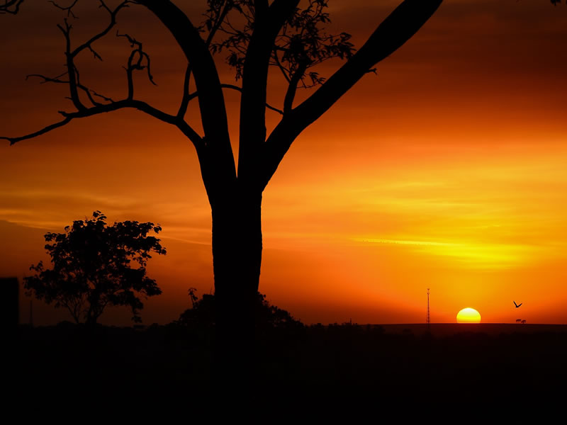 Tsavo East National Park